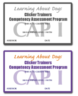 Competency Assessment Program